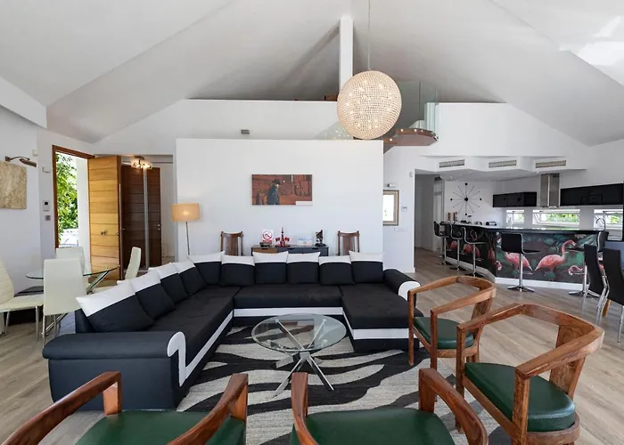 Flamingos * ماربيا