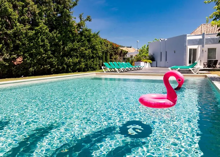 Flamingos